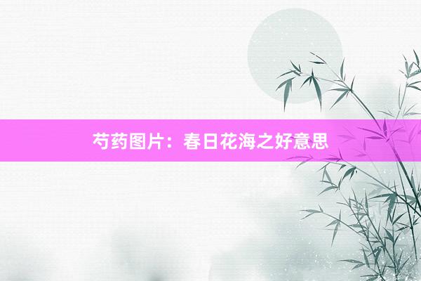 芍药图片:春日花海之好意思