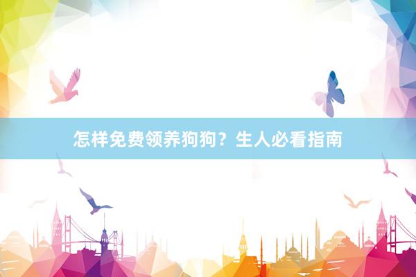 怎样免费领养狗狗？生人必看指南